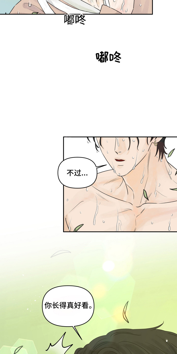 饥饿的狐狸读后感50字漫画,第3章：你的脸怎么了3图