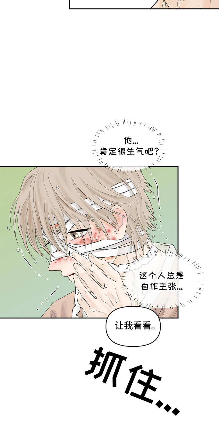 饥饿的狐狸读后感50字漫画,第3章：你的脸怎么了4图