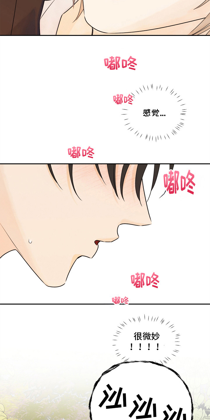 饥饿的狐狸读后感50字漫画,第5章：心愿2图