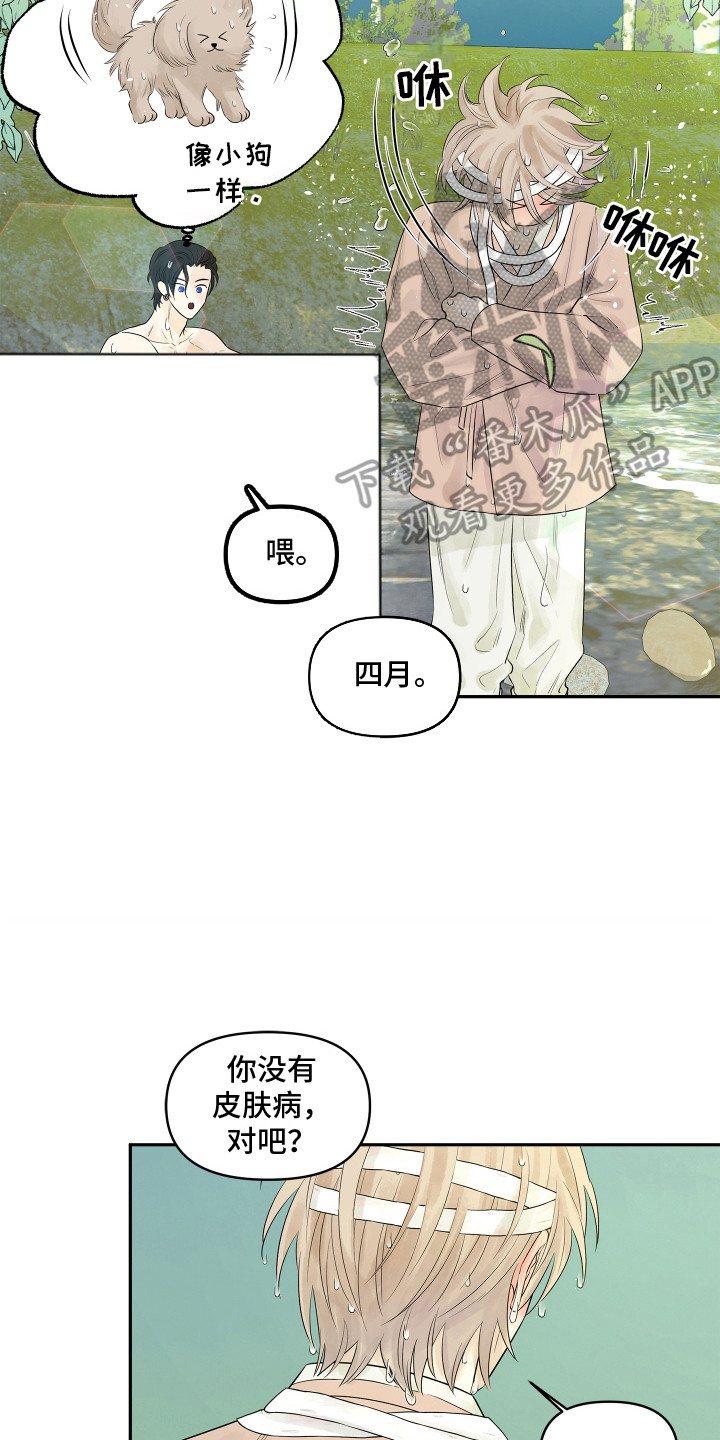 饥饿的狐狸读后感50字漫画,第3章：你的脸怎么了2图