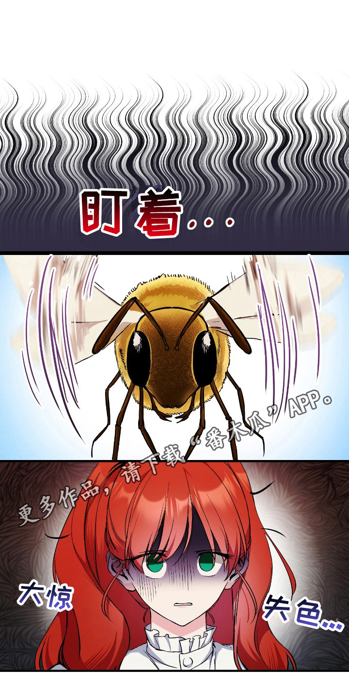 福灵寺碣石漫画,第4章：撞见5图