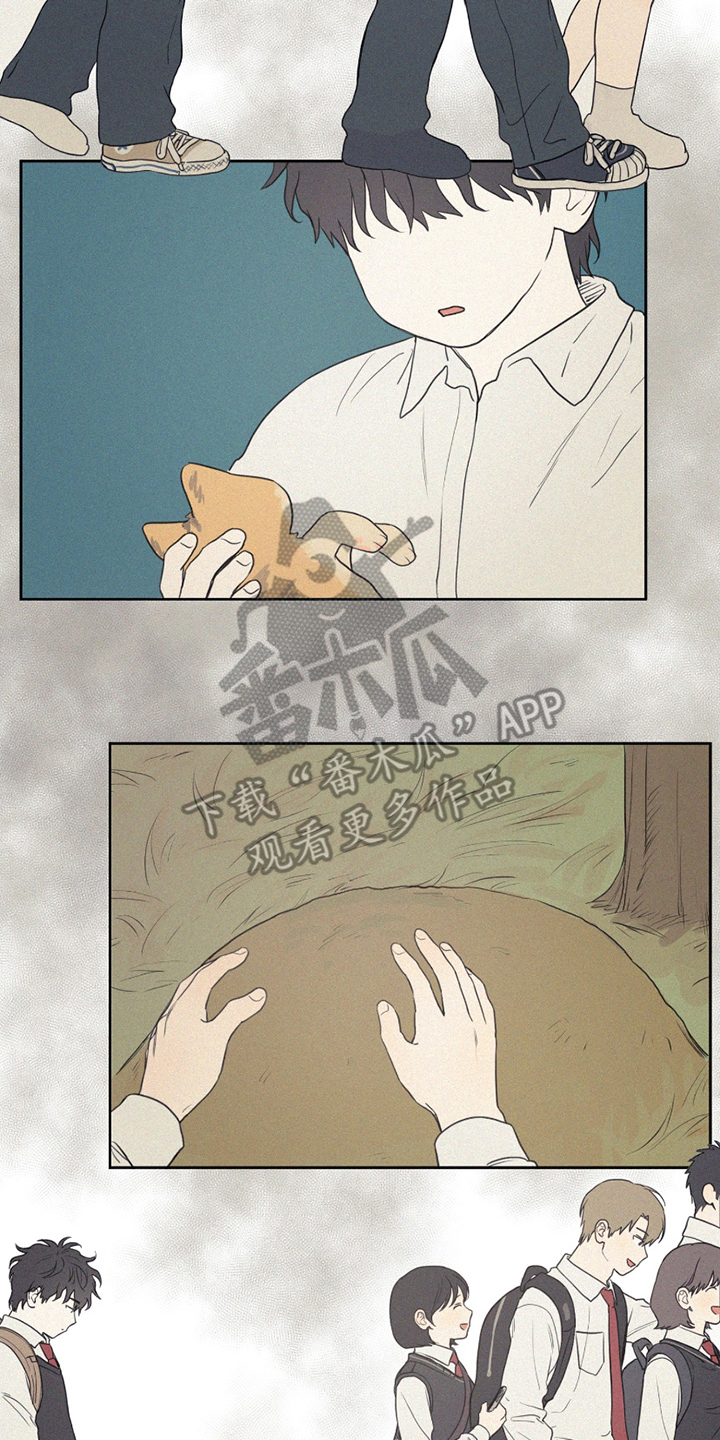 胖胖的头像漫画,第2章：转学生5图