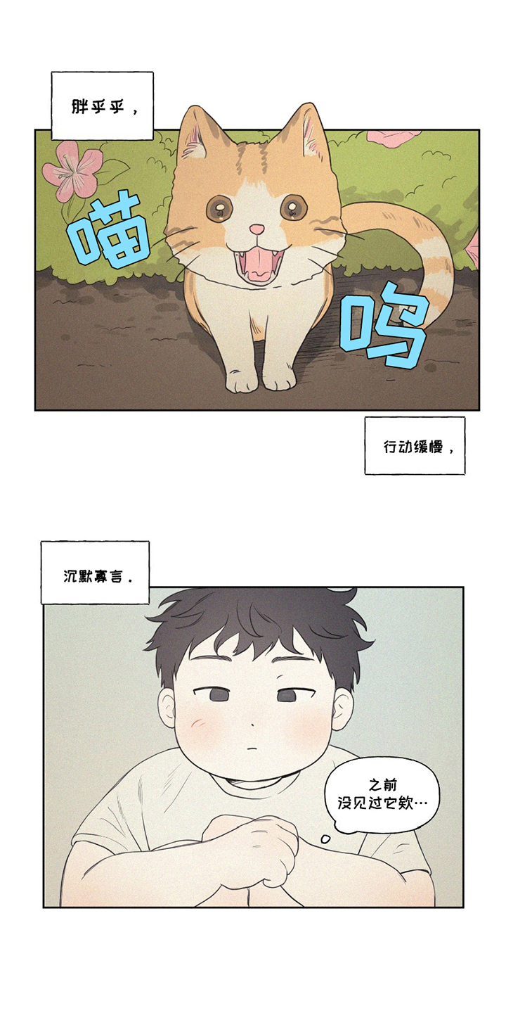 胖胖逆袭漫画,第1章：百公斤1图