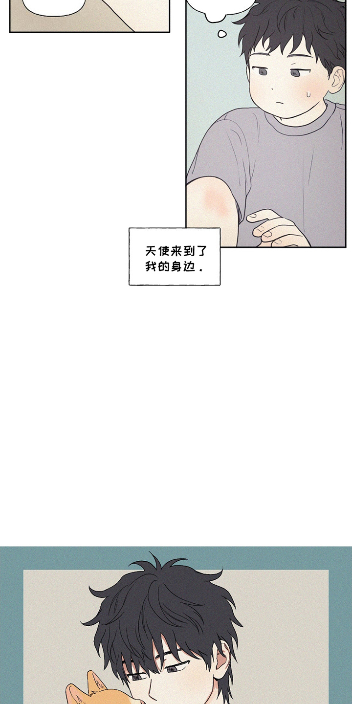 胖胖逆袭漫画,第2章：转学生3图