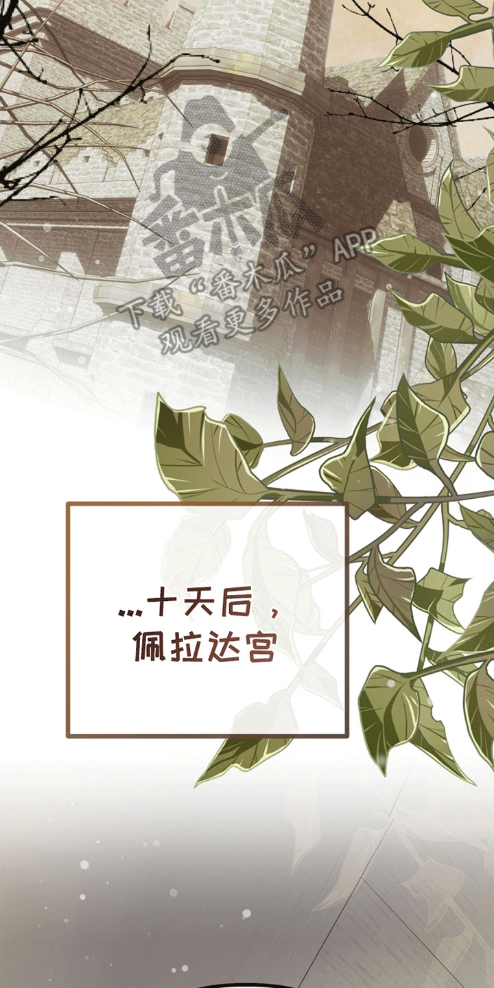 重生拯救未婚夫漫画,第17章：成为她的侍女4图
