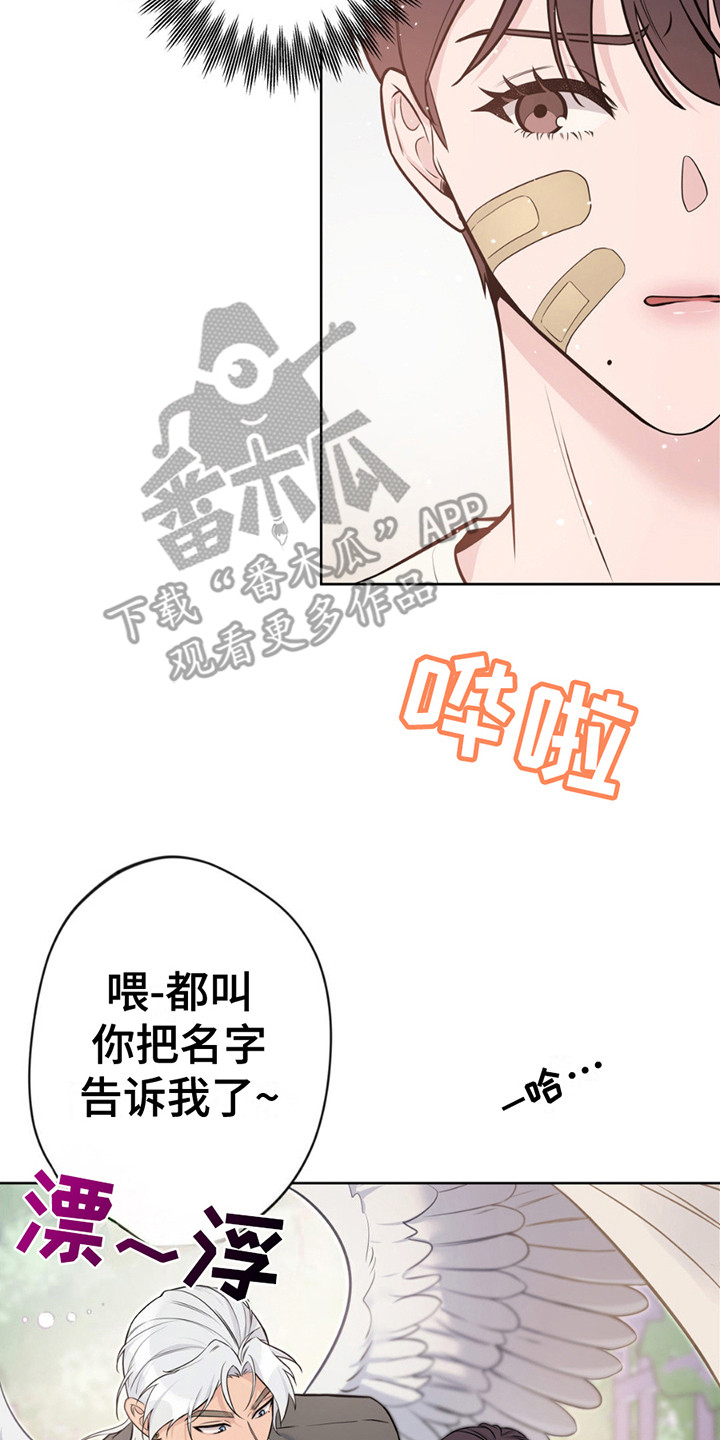 圣天使有哪些漫画,第9章： 签订契约5图