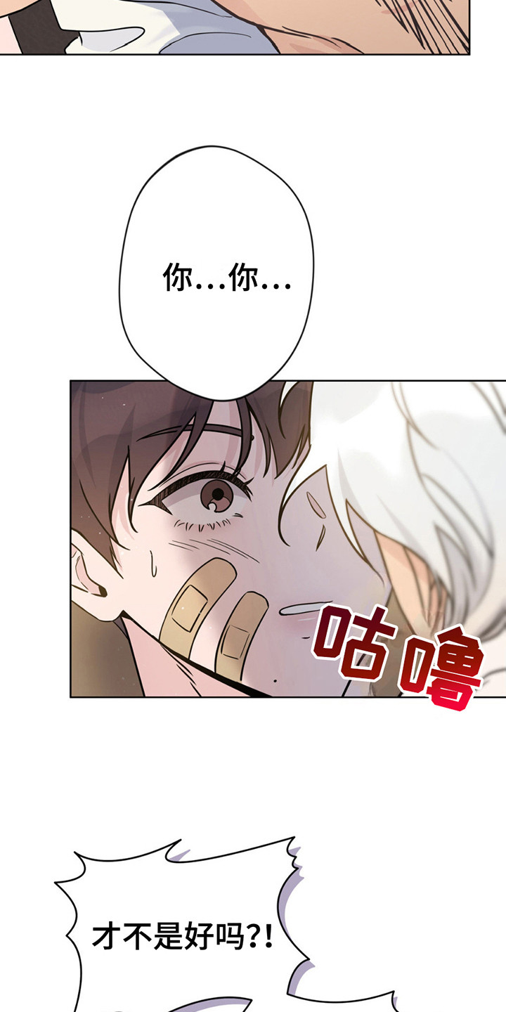 天使圣痕漫画,第11章：带回家2图