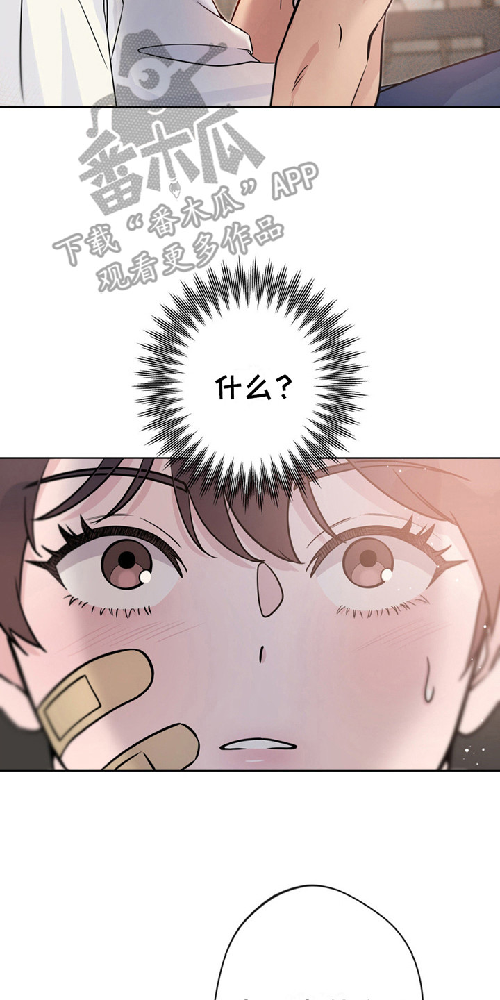 天使圣痕漫画,第11章：带回家2图