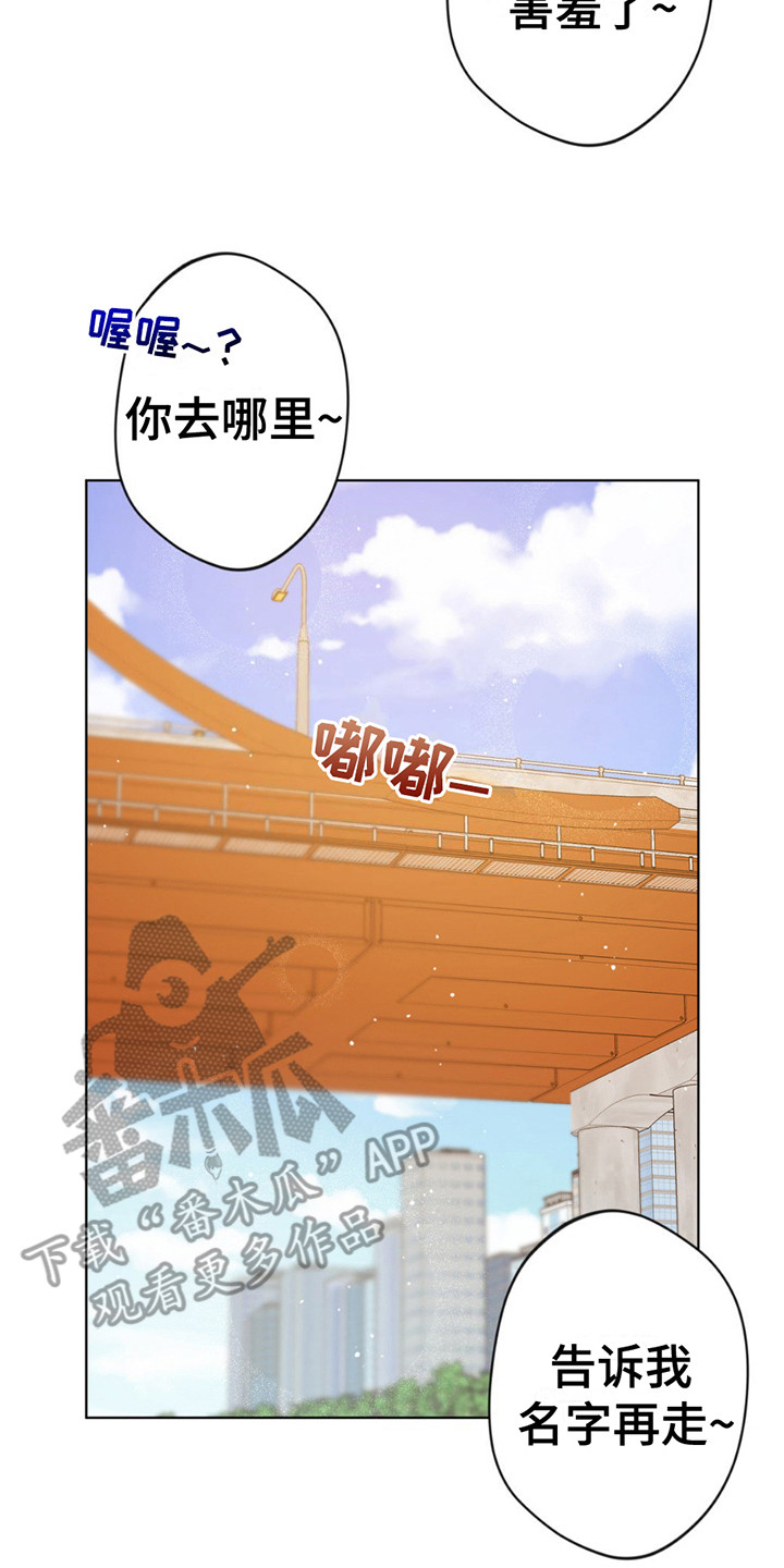 圣天使有哪些漫画,第9章： 签订契约2图