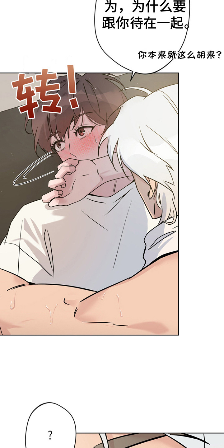 天使圣痕漫画,第11章：带回家3图