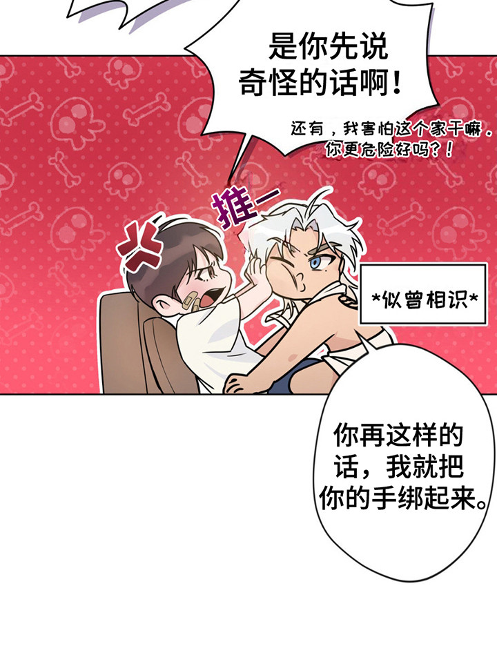 天使圣痕漫画,第11章：带回家3图