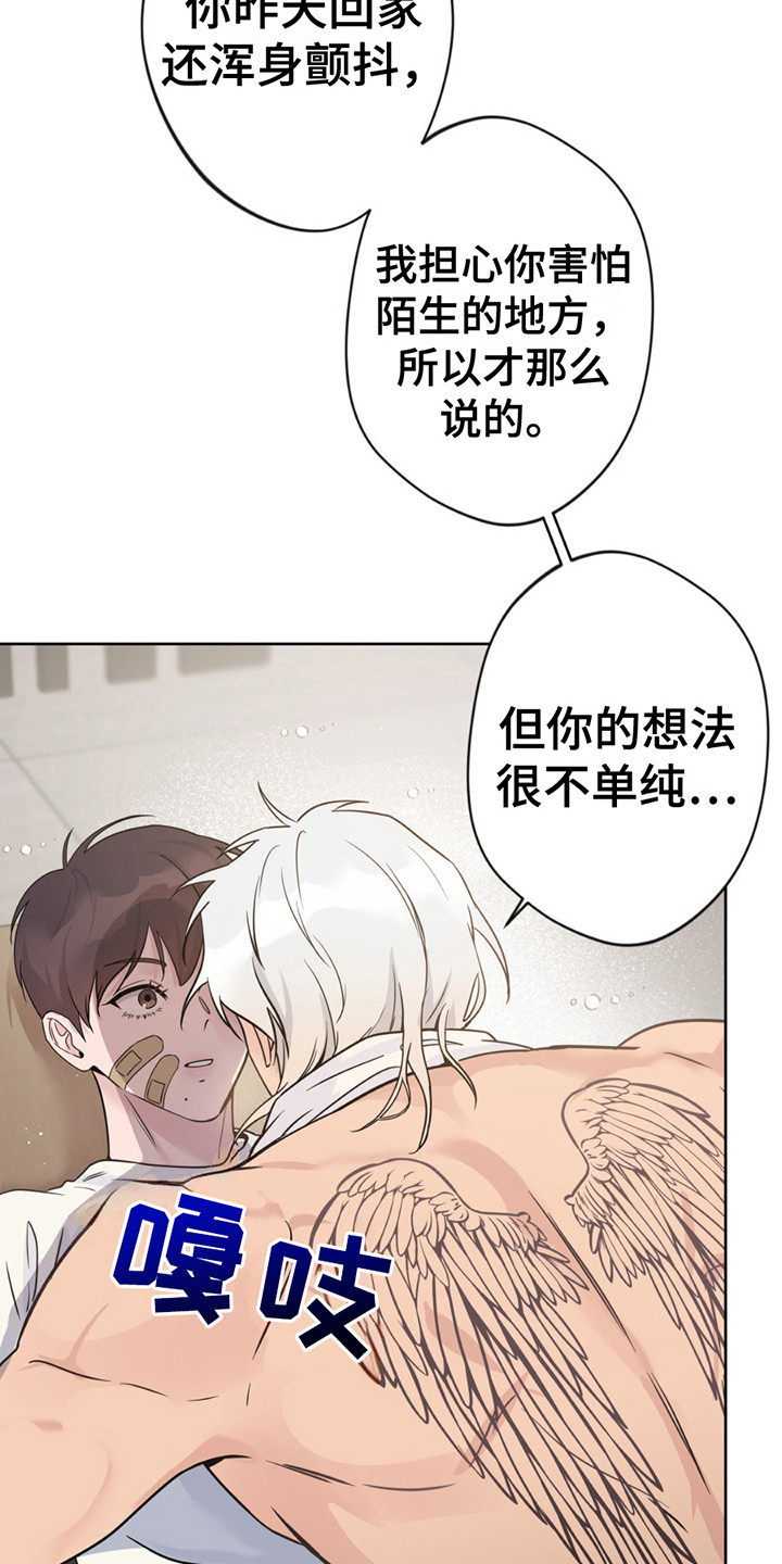 天使圣痕漫画,第11章：带回家1图