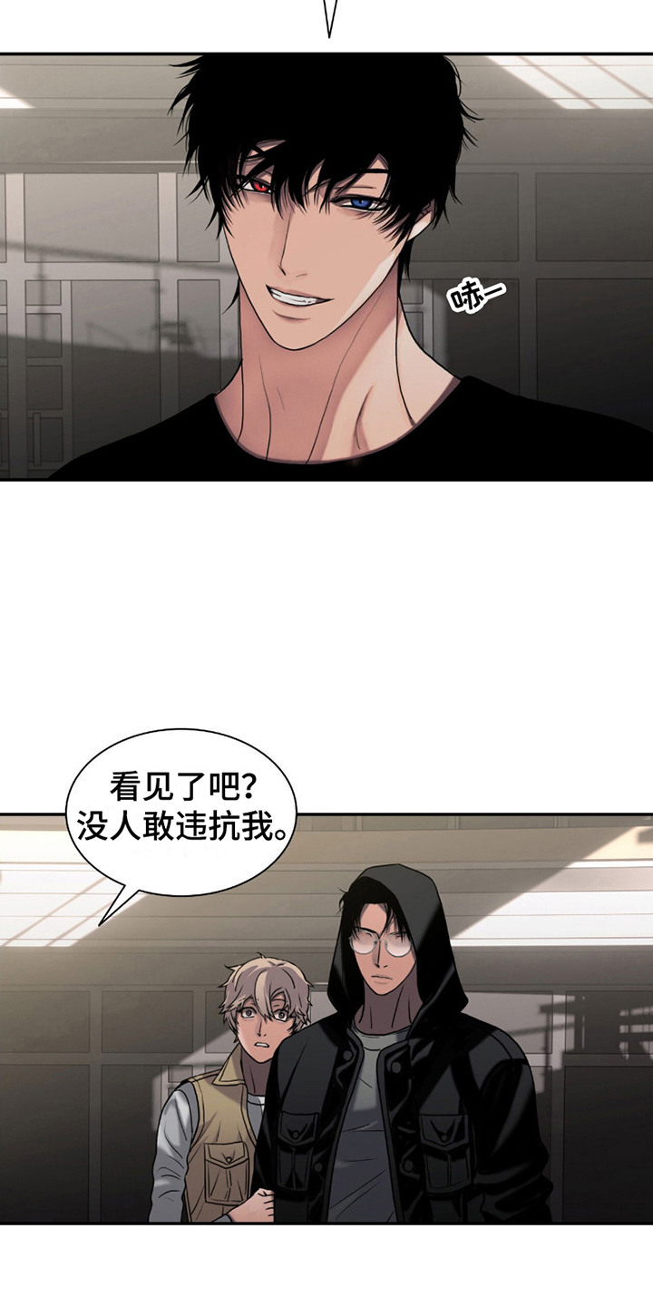 腐蚀的痛处在线阅读漫画,第10章：命令5图