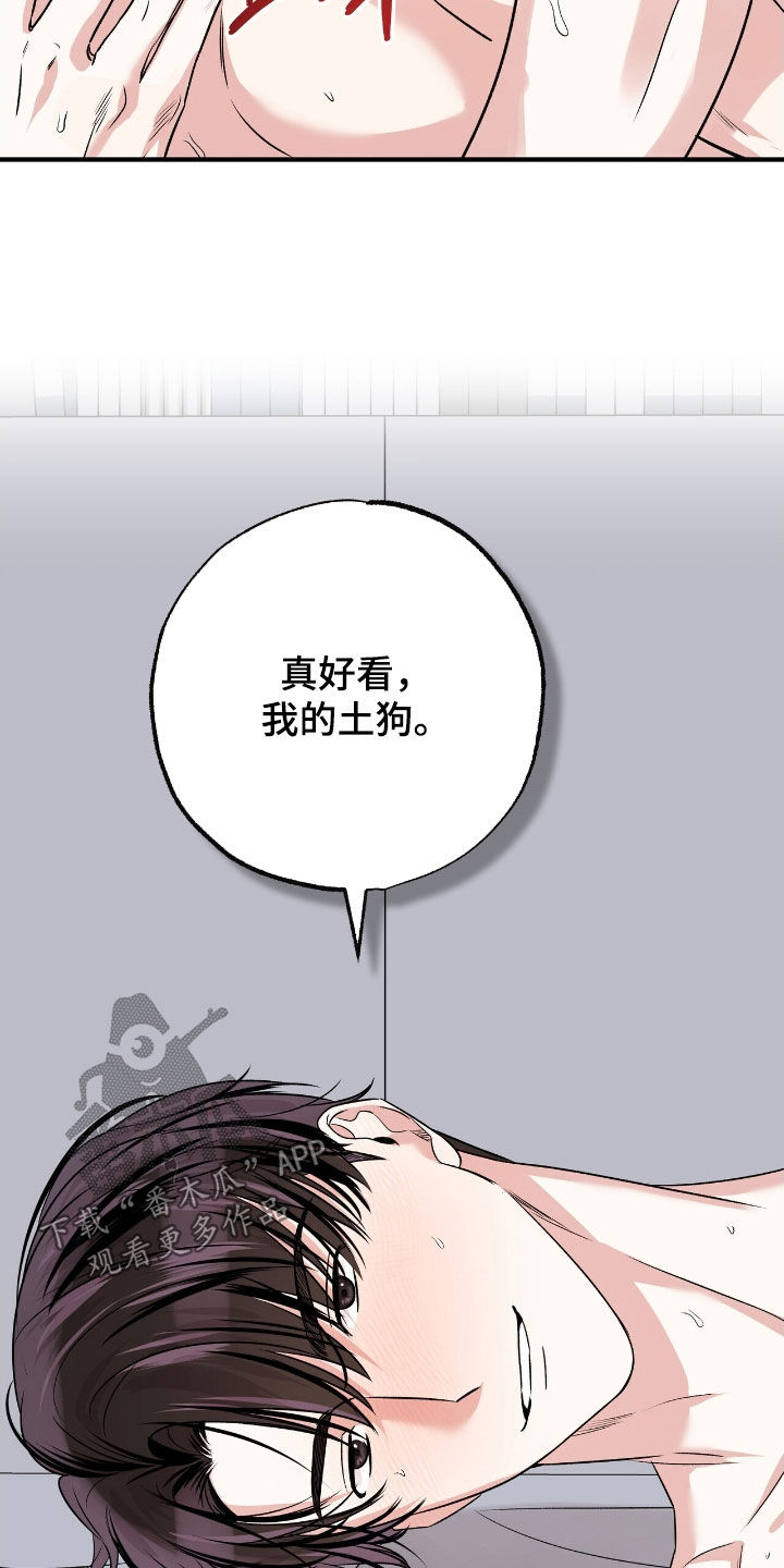 他的专属小狗漫画,第89章：我讨厌你5图