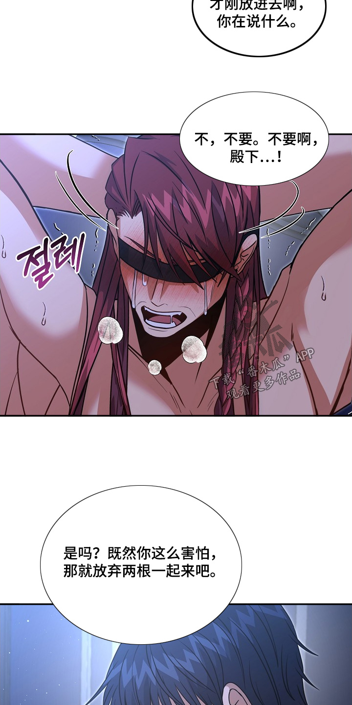 皇家教师海涅樱花动漫漫画,第78章：【第二季】不要啊1图