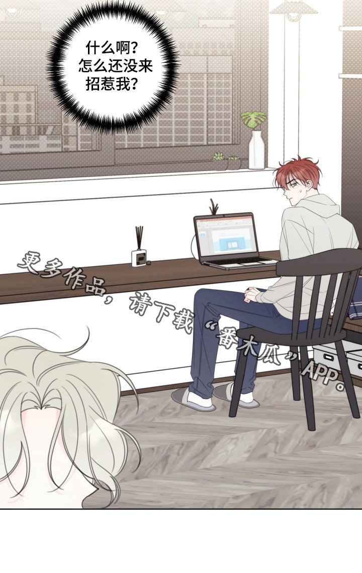 被强行契约之后漫画,第65章：【第二天】没有招惹3图