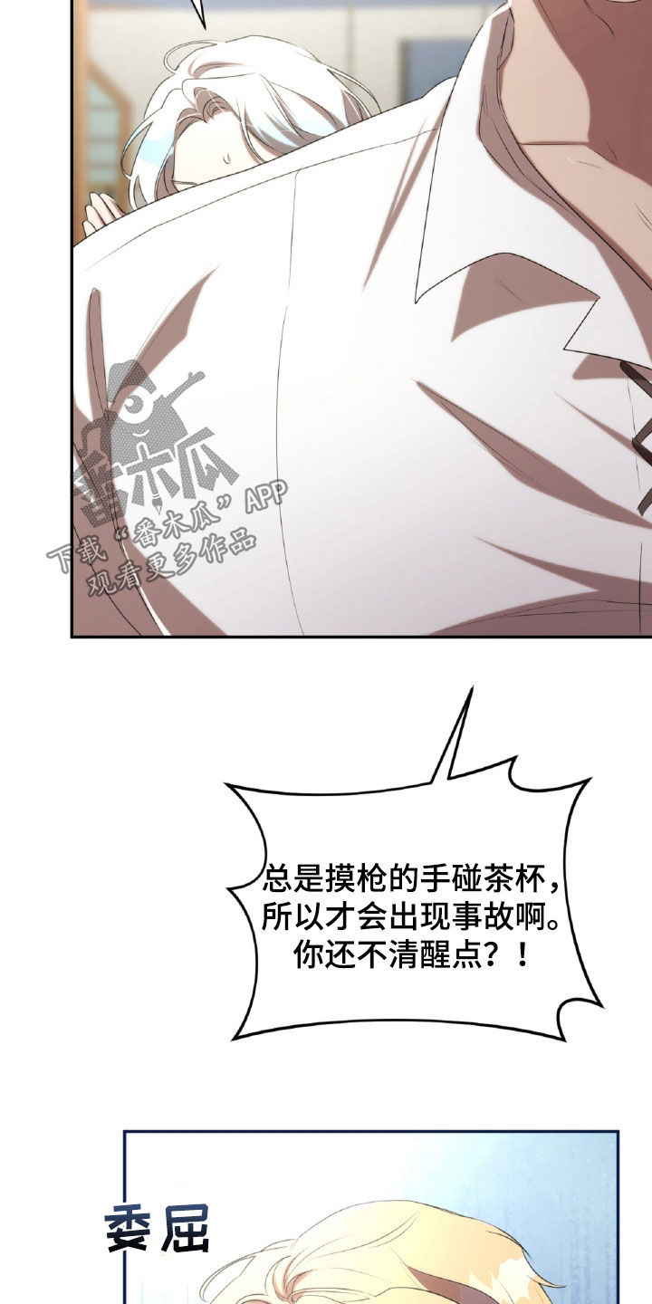 与生俱来的爱国情怀漫画,第41章：破碎的茶杯2图