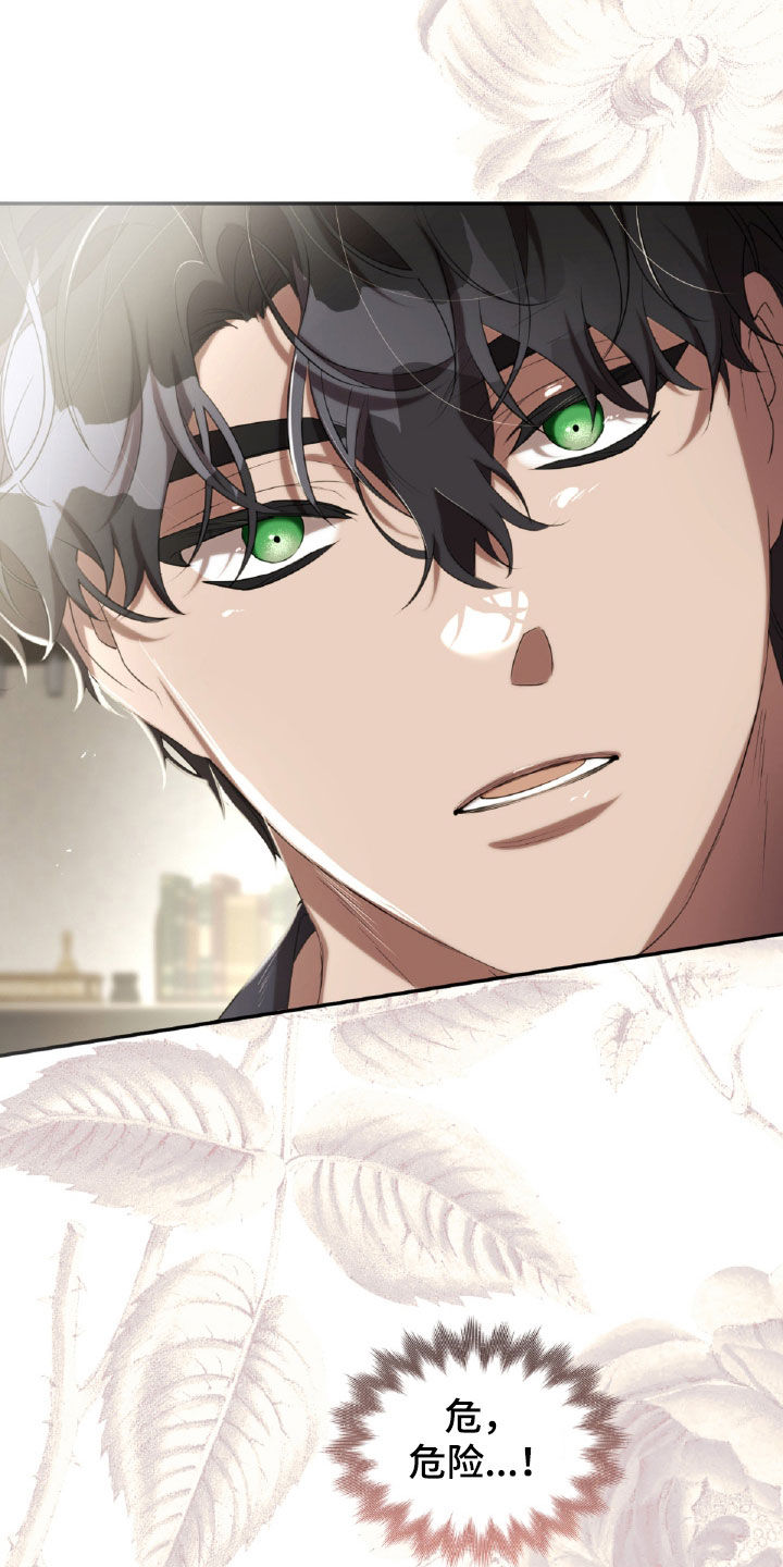 与生俱来的镜头感漫画,第42章：危险5图