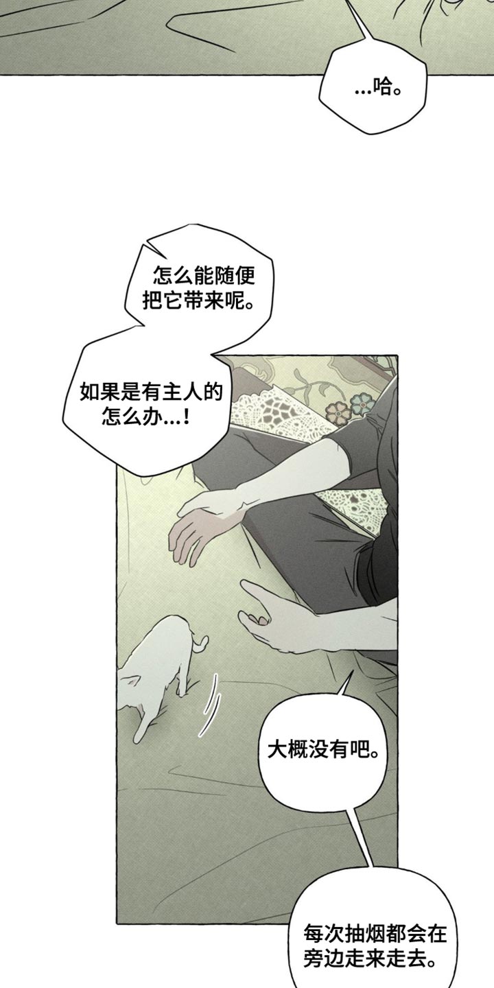 血族囚笼漫画,第79章：猫咪4图