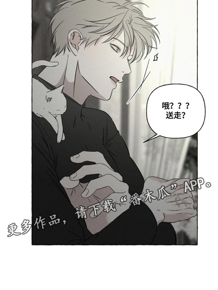 血族囚笼米卡尔漫画,第81章：一点都没吃5图