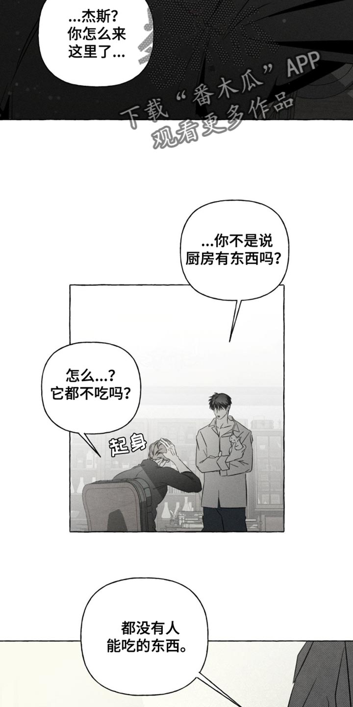 血族囚笼下拉式漫画最新章节漫画,第80章：报告的日子3图