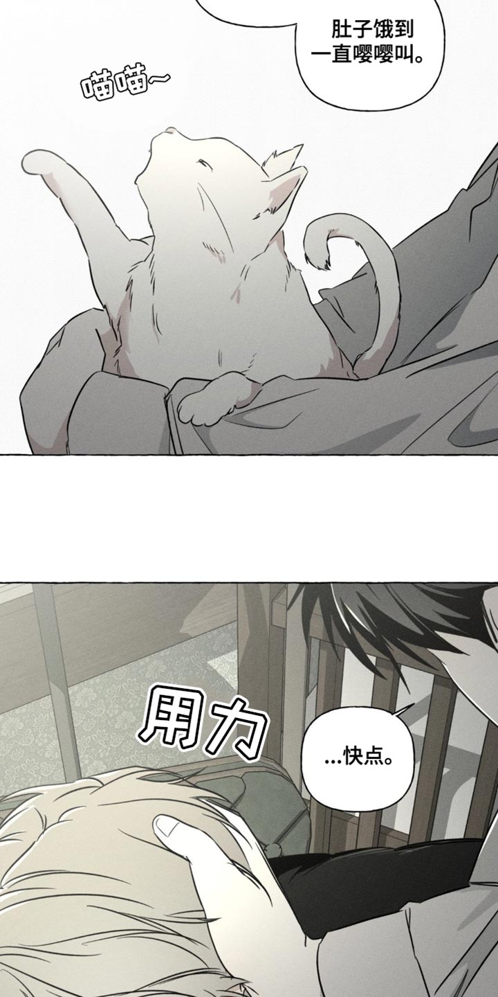 血族囚笼下拉式漫画最新章节漫画,第80章：报告的日子1图