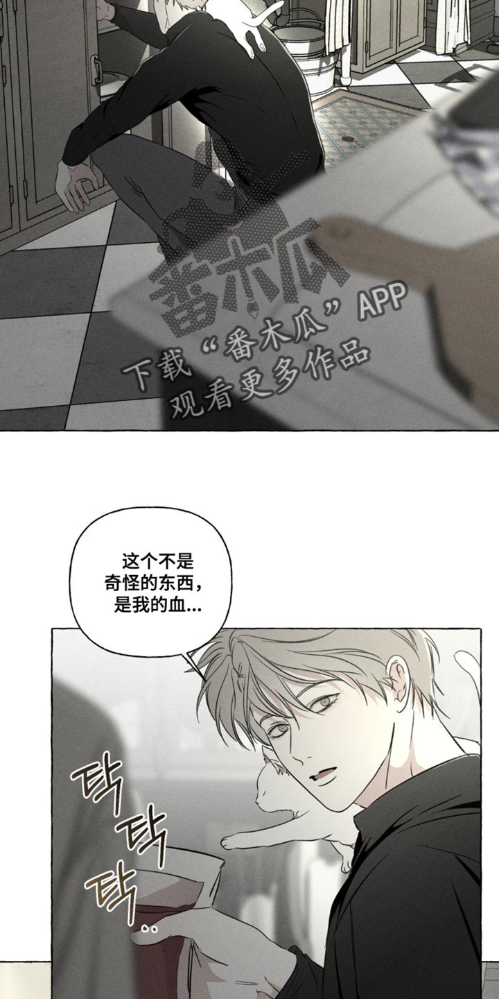 血族囚笼米卡尔漫画,第81章：一点都没吃1图