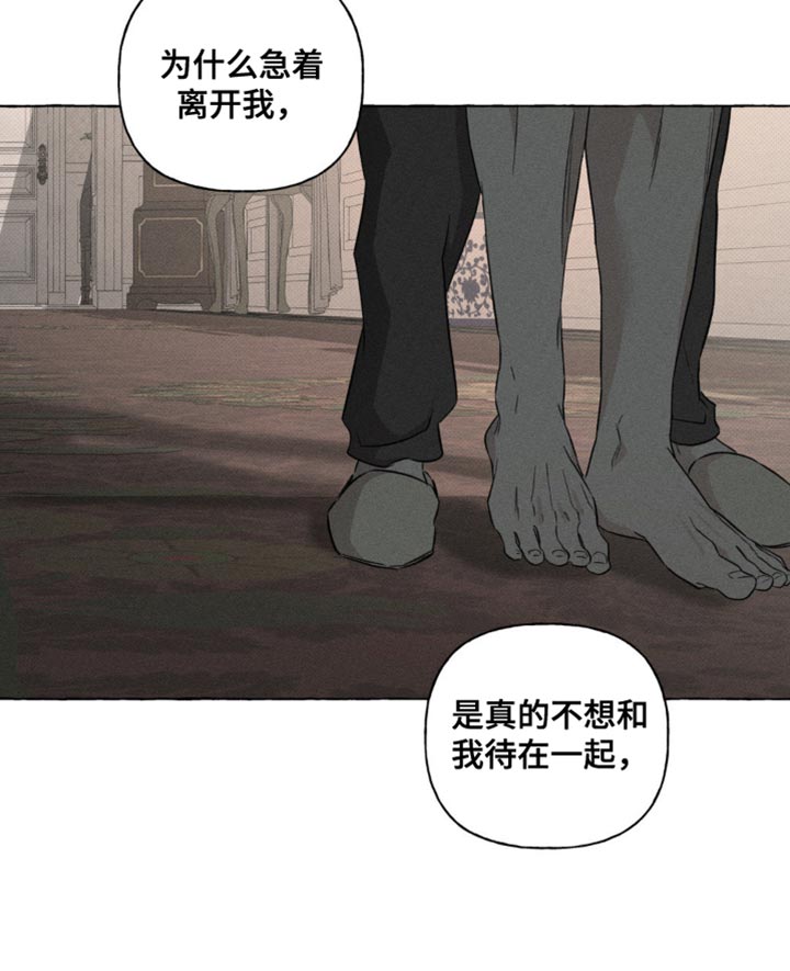 血族囚笼未婚妻经典情节漫画,第76章：不想再看到那张脸3图