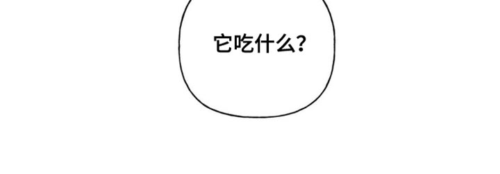 血族囚笼漫画,第79章：猫咪1图