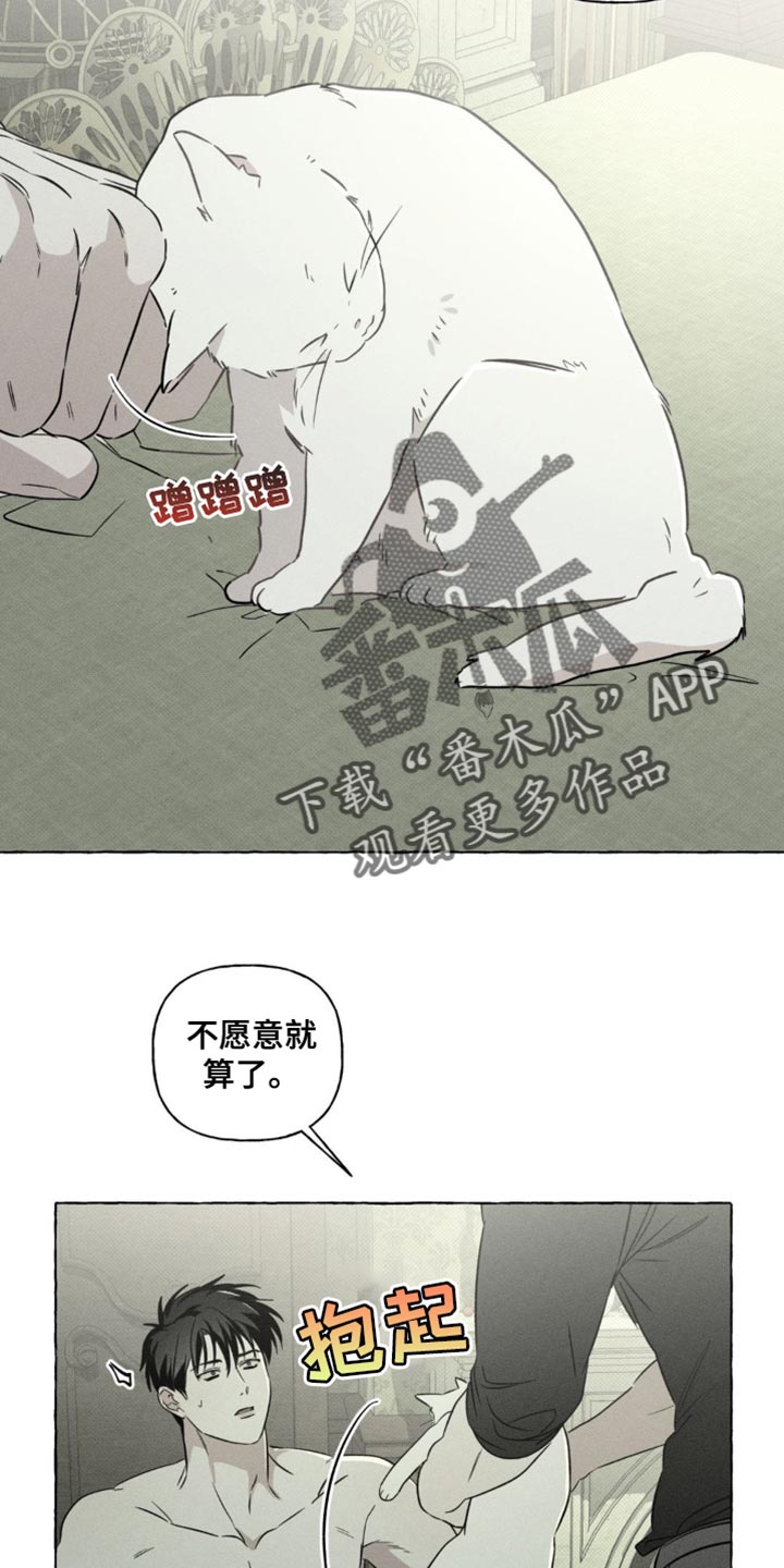 血族囚笼漫画,第79章：猫咪1图