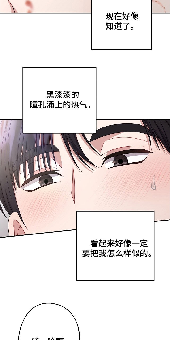 忘记前任最快的星座漫画,第53章：太可爱了5图