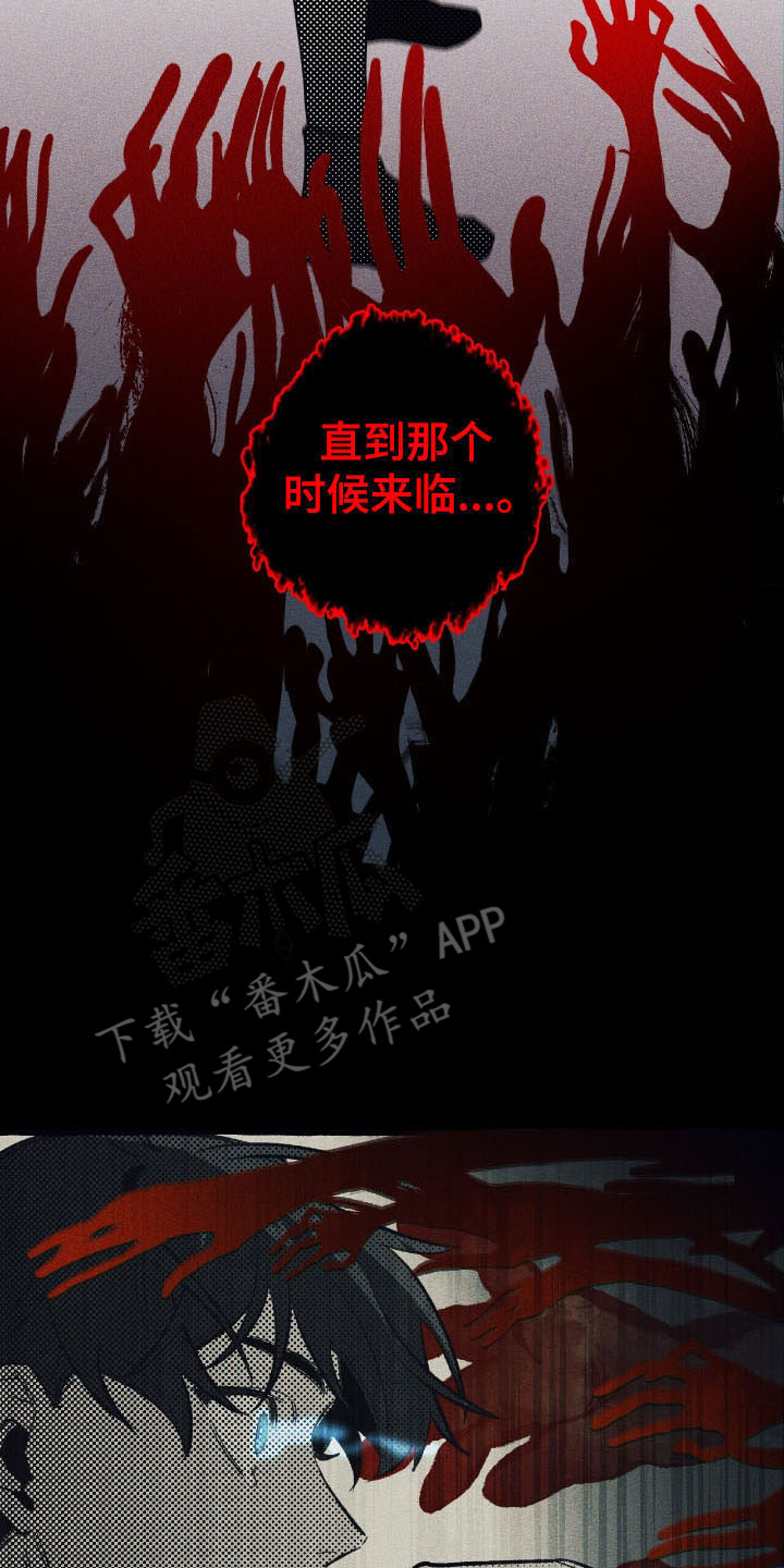 第51章：坚定决定1