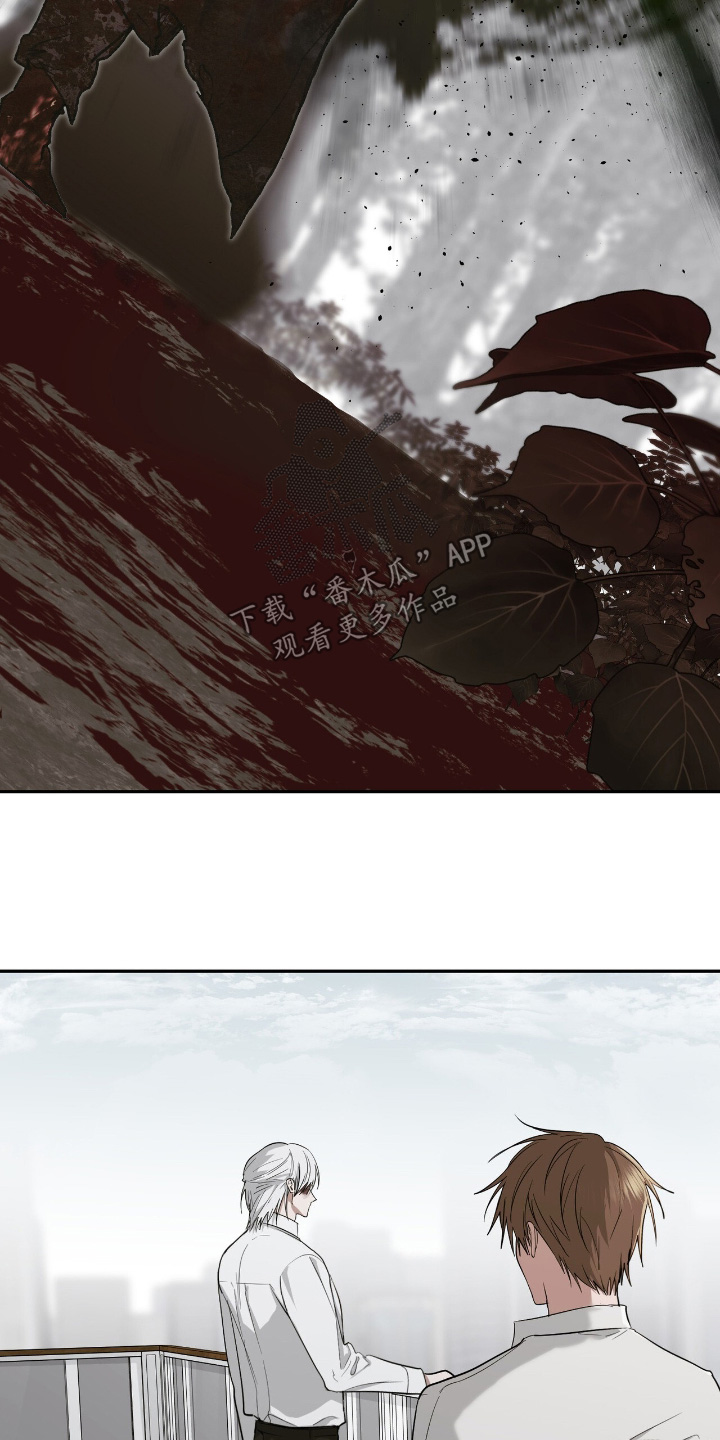 如意珠子手链漫画,第49章：失去一切4图