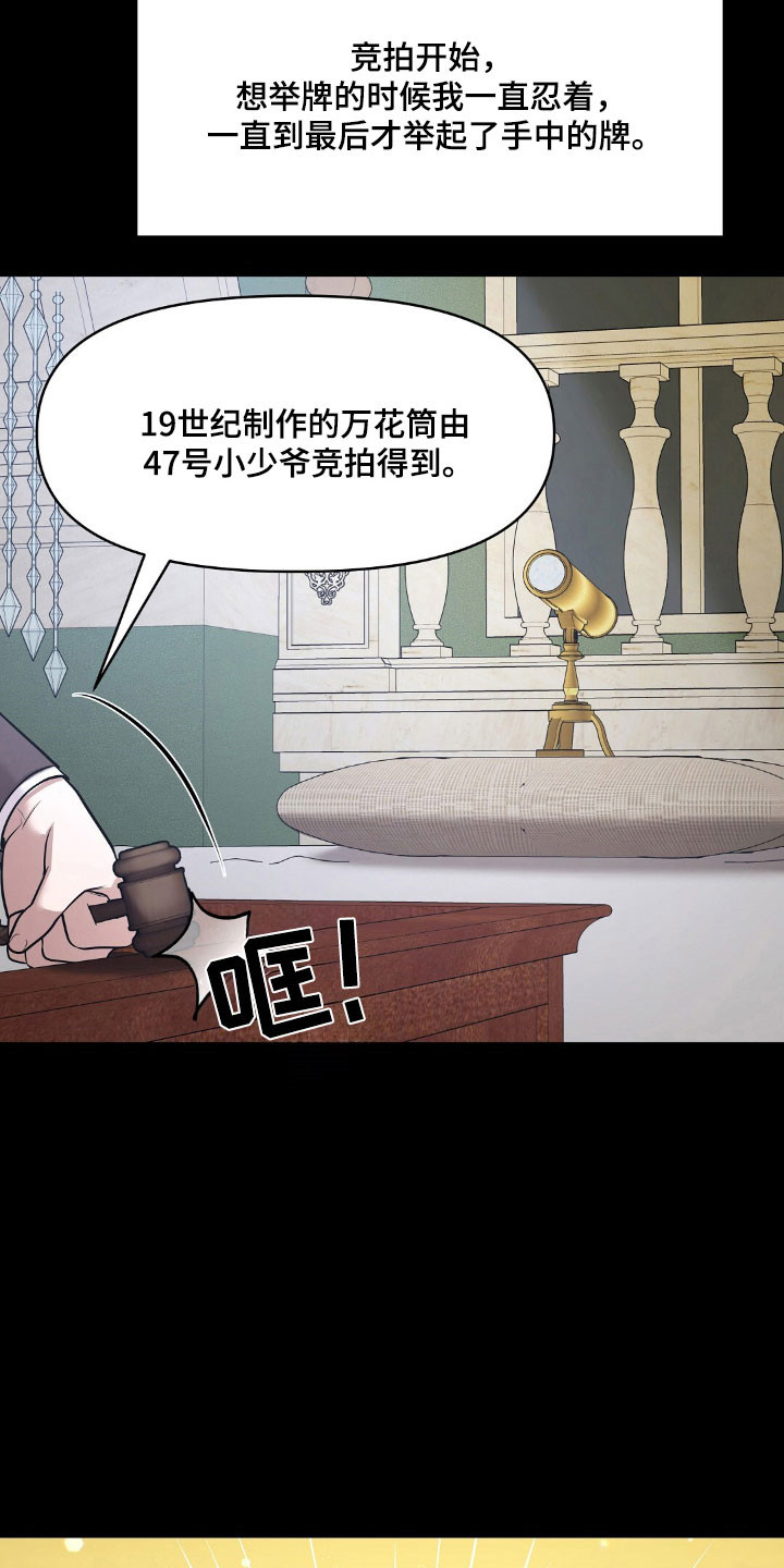 第56章：竞拍经历4