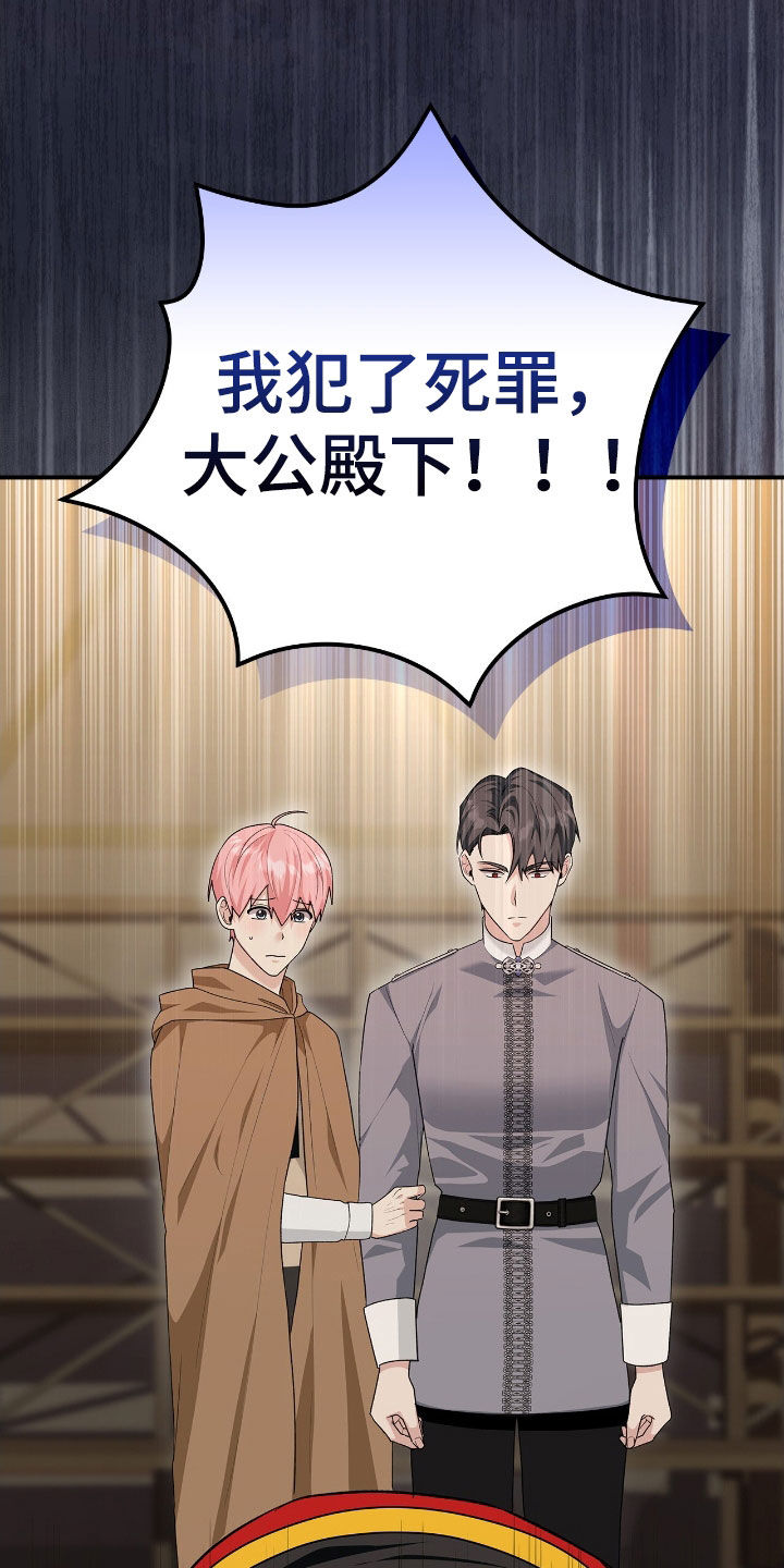 疯批大公的玩偶17话漫画,第47章：救命稻草4图