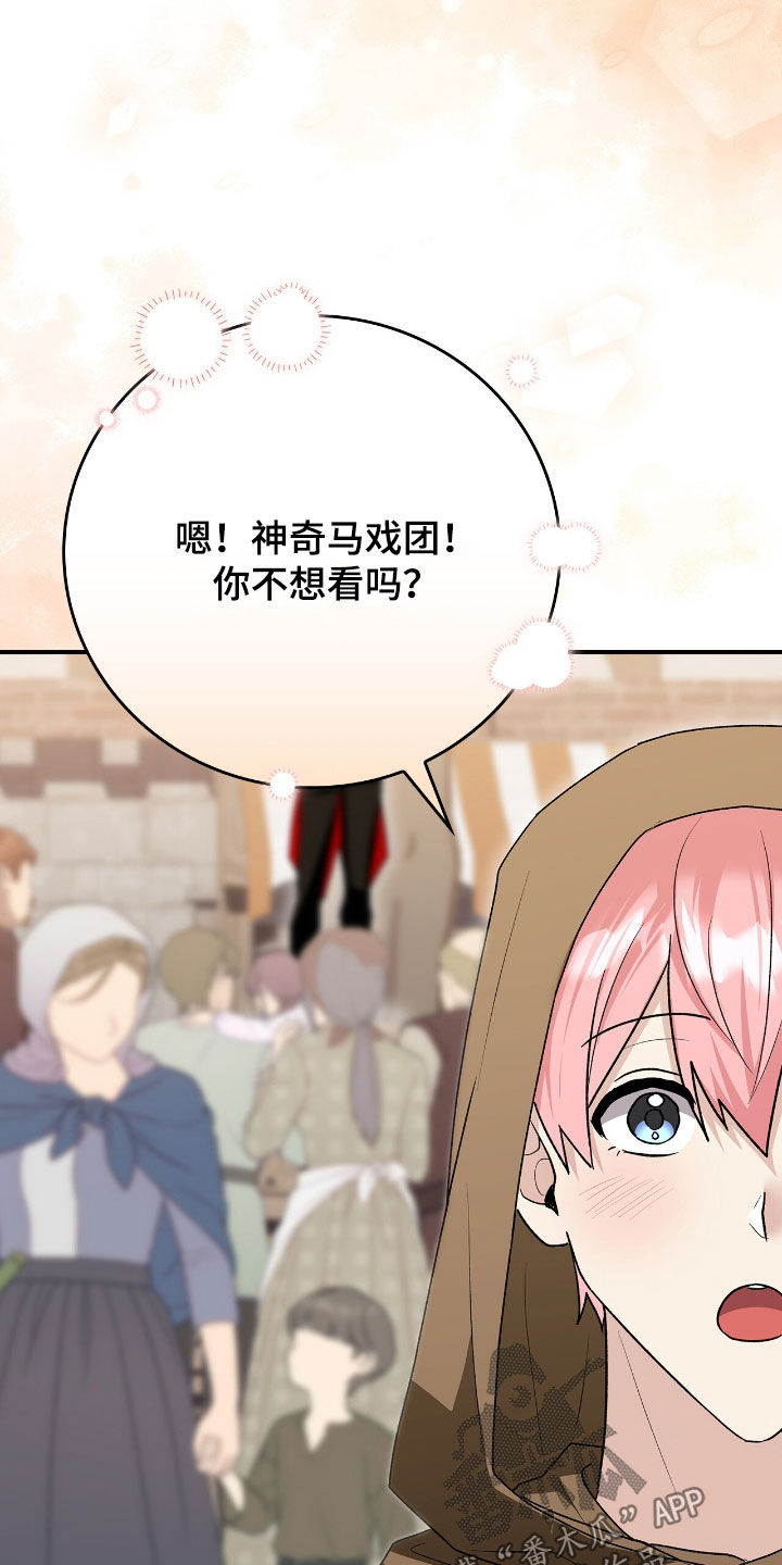 疯批大公的玩偶叫什么名字漫画,第44章：马戏团1图