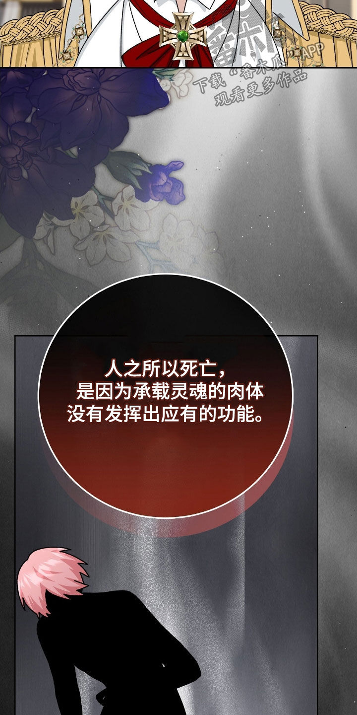 疯批大公的玩偶叫什么名字漫画,第50章：永生的钥匙2图