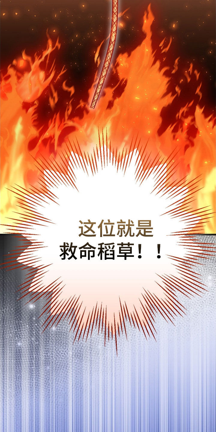 疯批大公的玩偶17话漫画,第47章：救命稻草2图