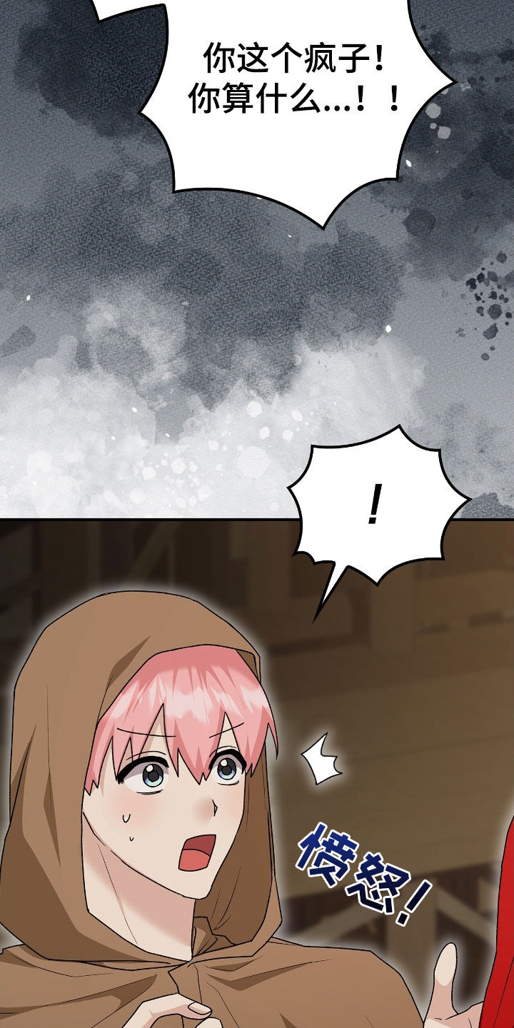 疯兔大公仔漫画,第46章：行窃2图