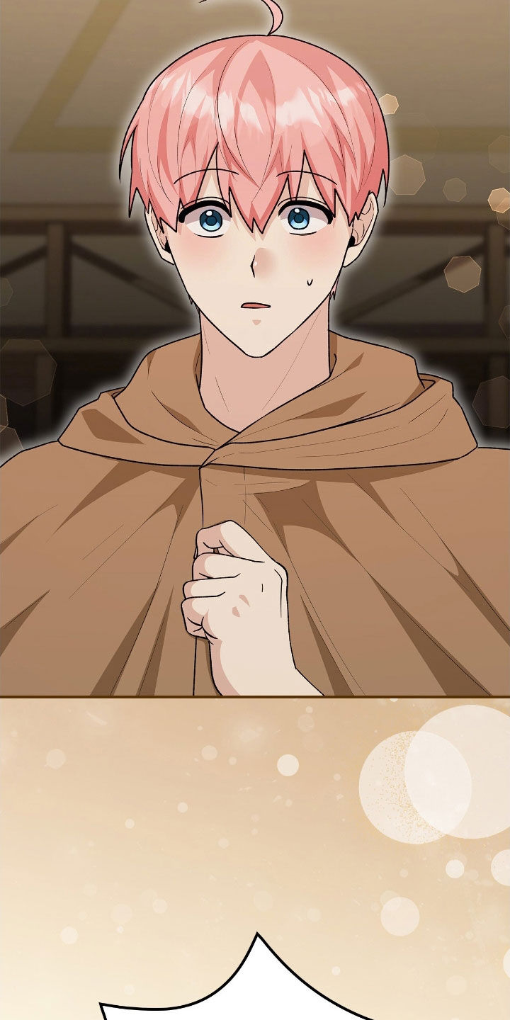 疯批大公的玩偶叫什么名字漫画,第47章：救命稻草3图