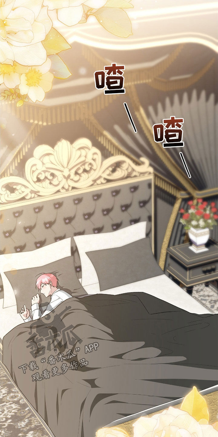 疯批大公的玩偶小说阅读漫画,第48章：更加不安4图