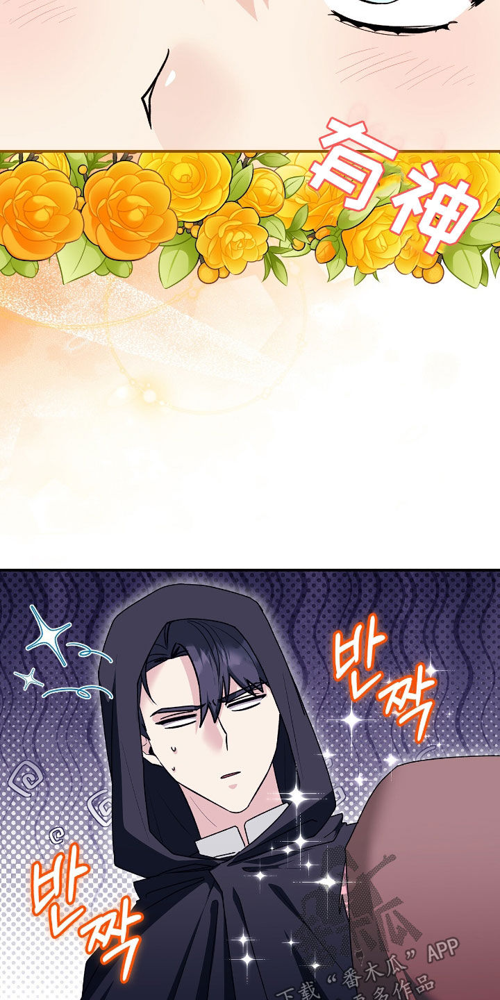 疯批大公的玩偶叫什么名字漫画,第44章：马戏团2图