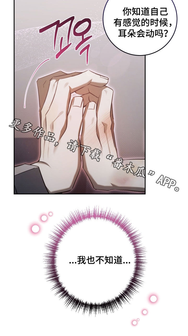 法外之地漫画,第31章：耳朵会动5图