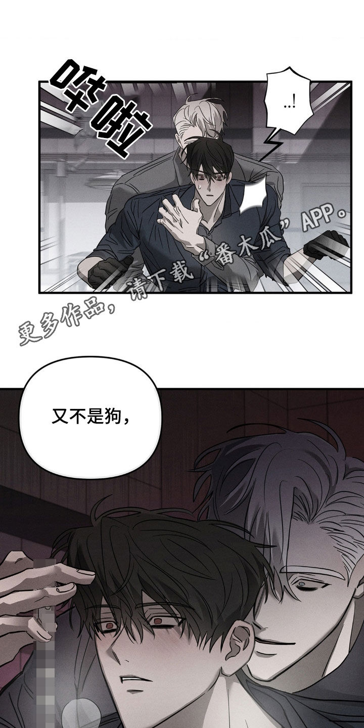 逃离地下室漫画,第19章：不想被看到1图