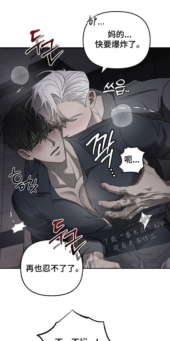 逃离地下室漫画,第20章：这个疯子3图