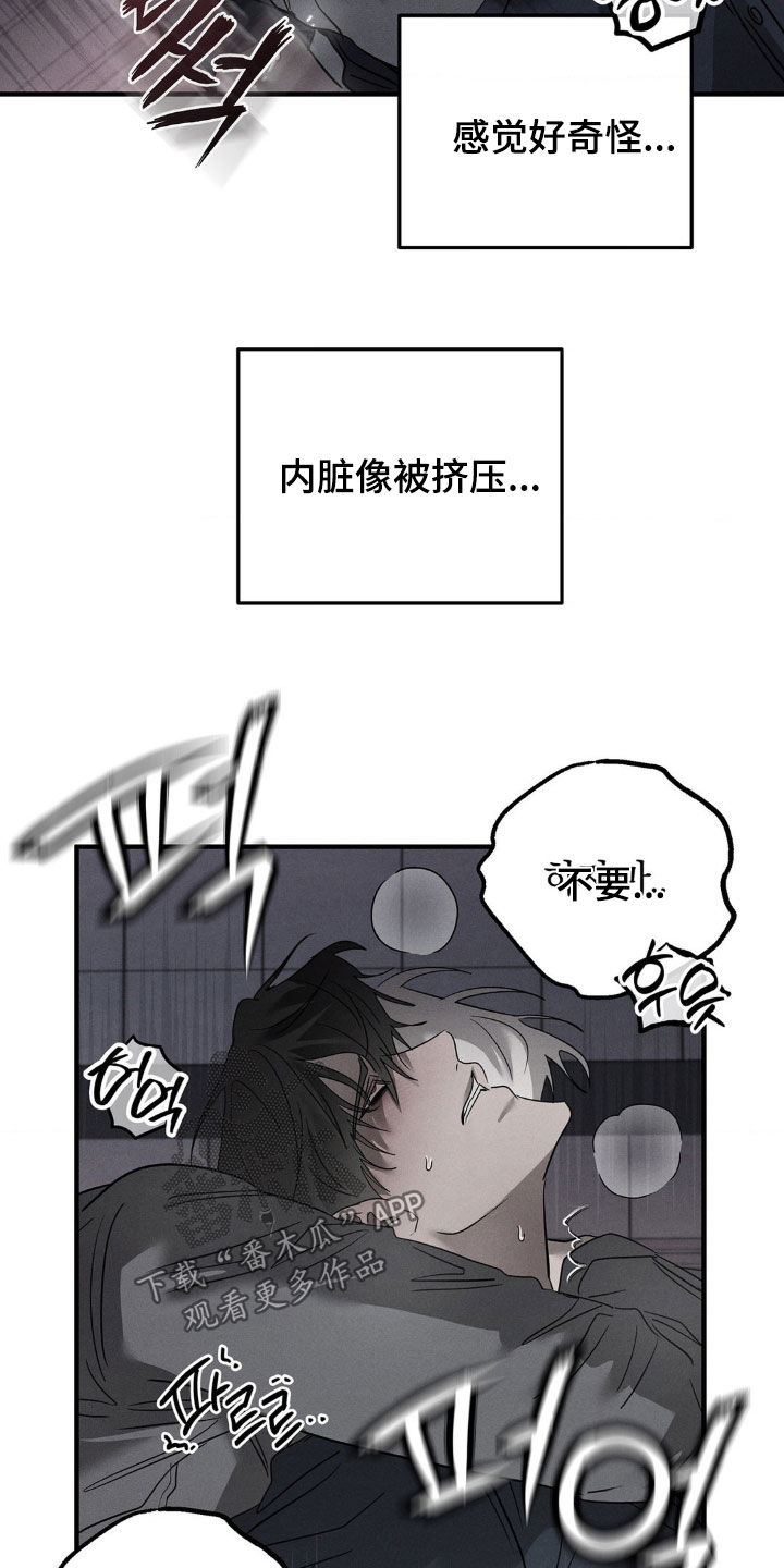 逃离地下室漫画,第20章：这个疯子1图