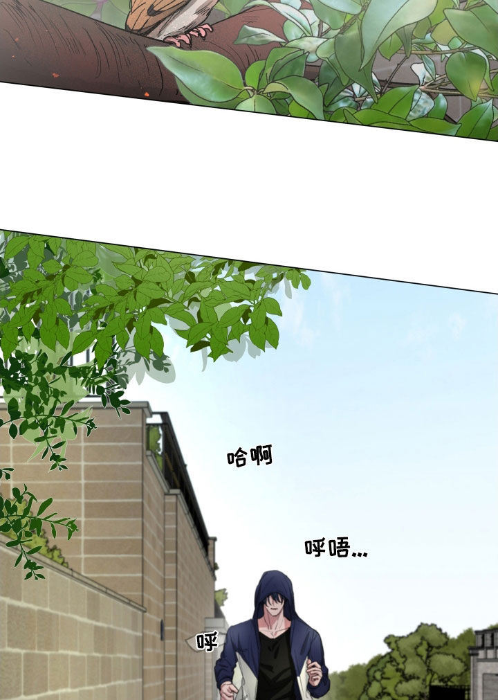 你全能的摇篮漫画,第30章：总有一天2图