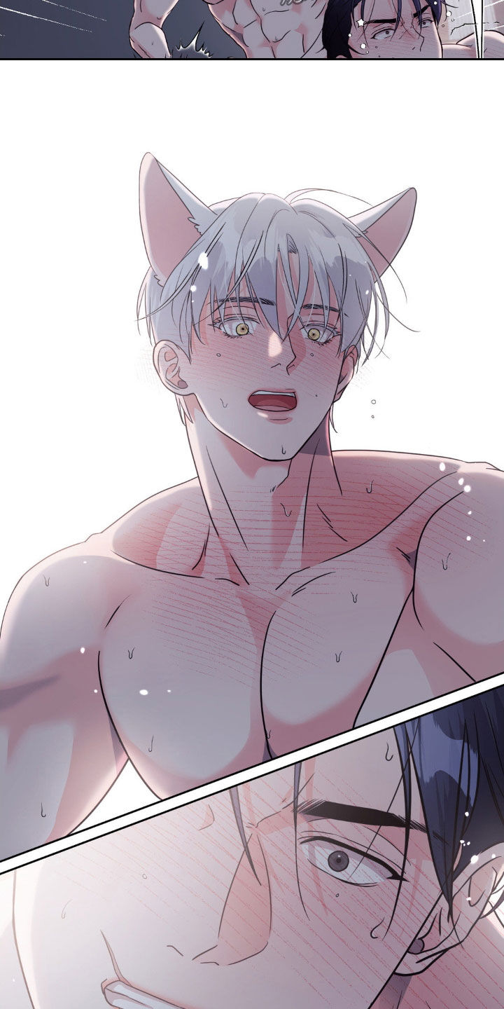 养狼为患青端免费阅读全文漫画,第28章：无法习惯2图