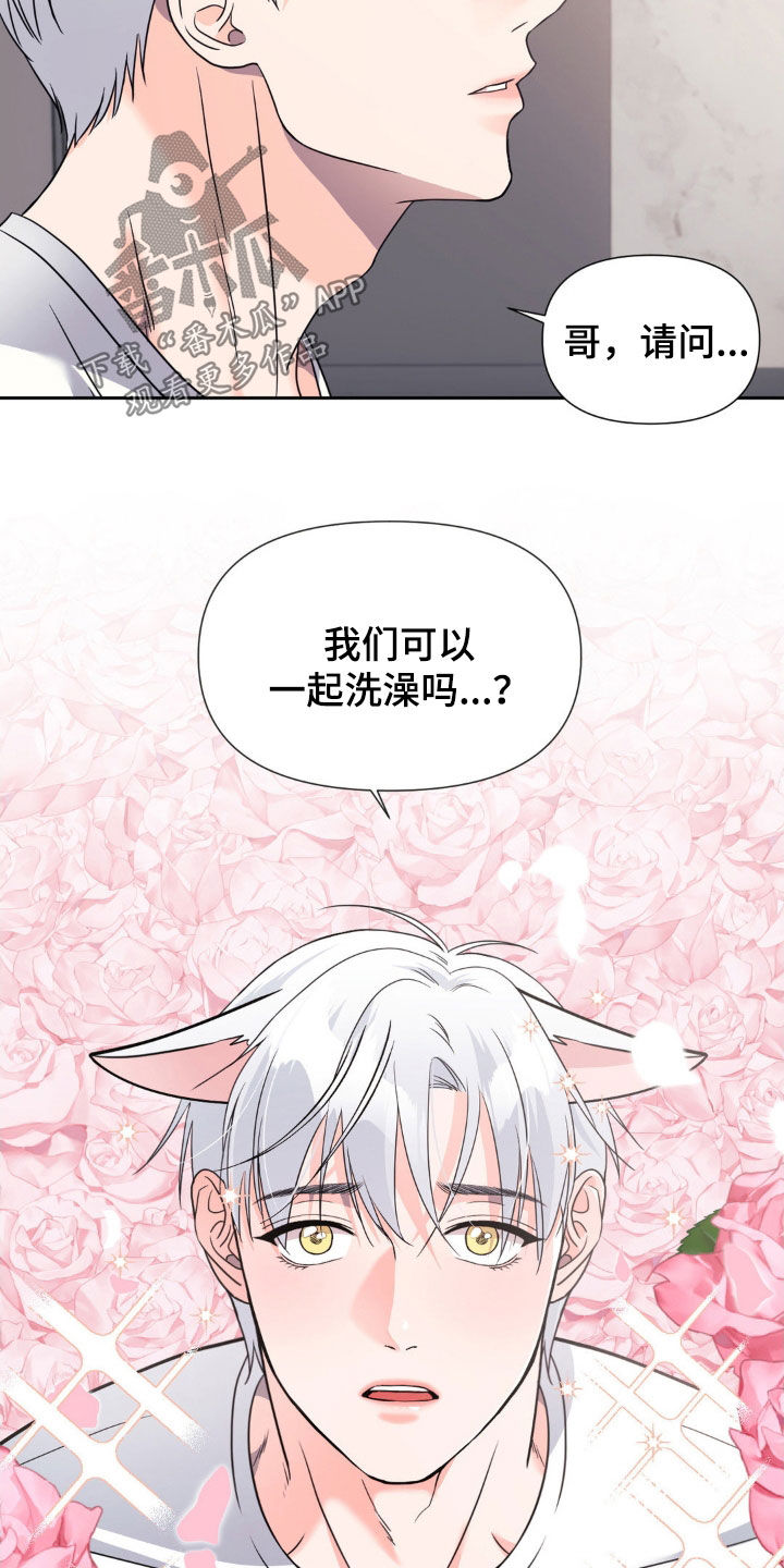 养狼为患by漫画,第27章：不要心软5图