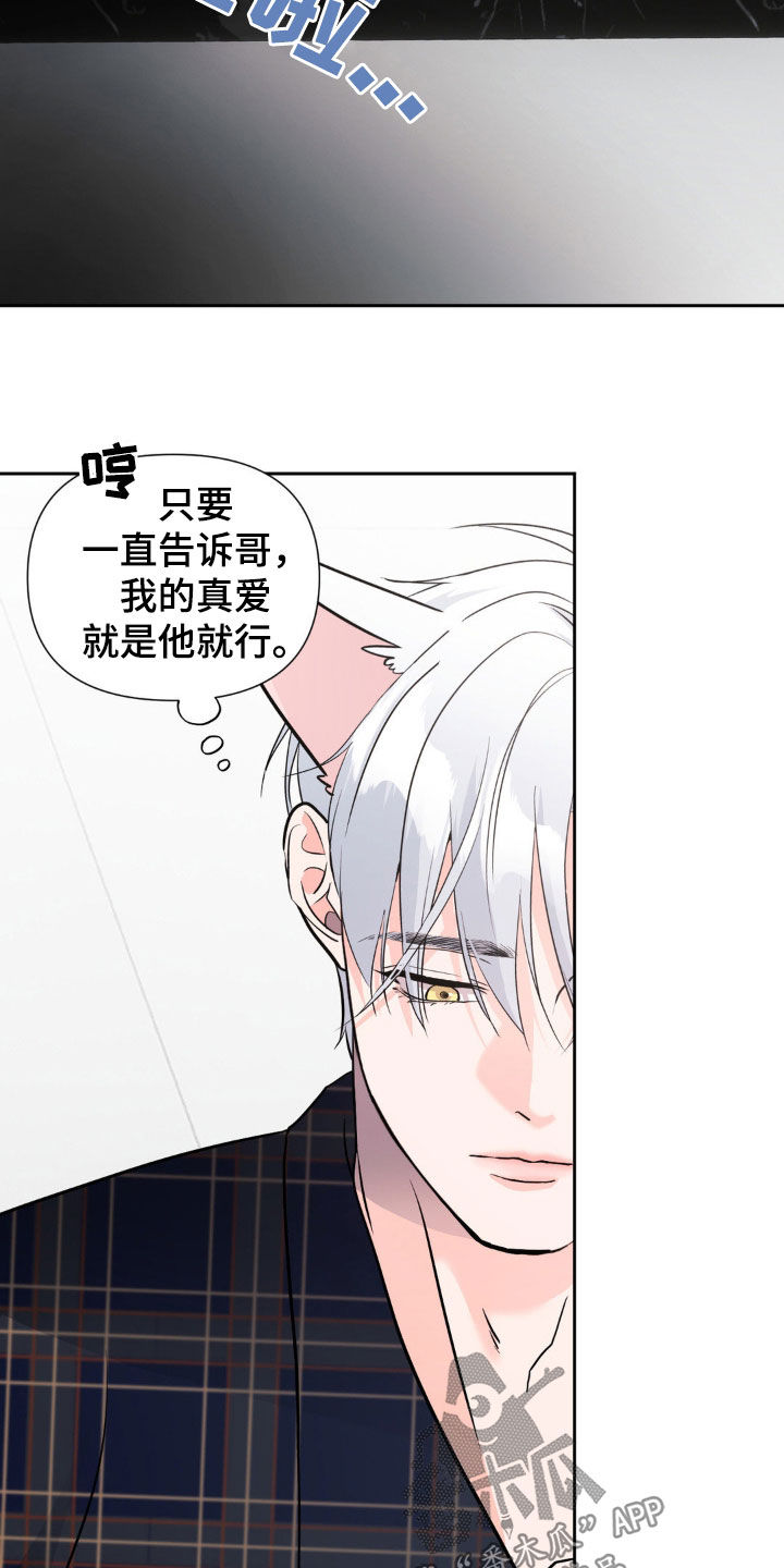 养狼为患漫画,第19章：搭档4图